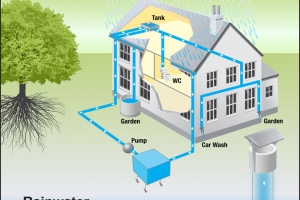 Nguồn nước mưa